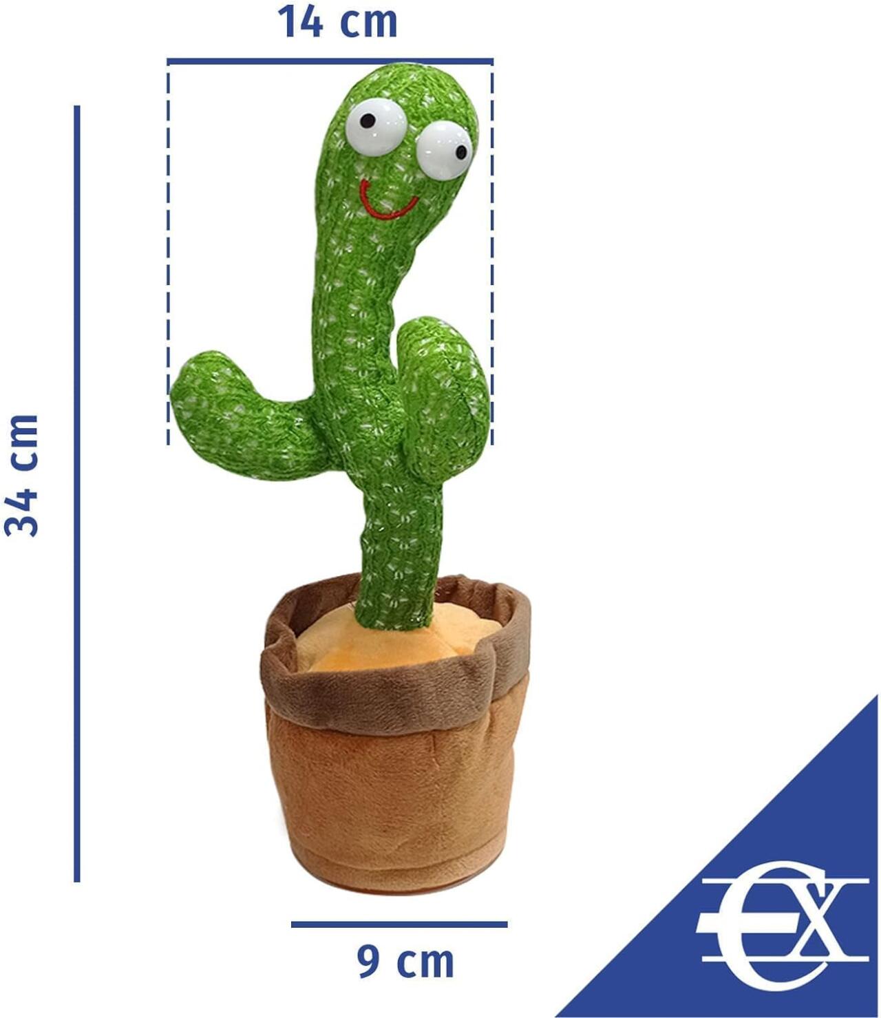MAGICCACTUS